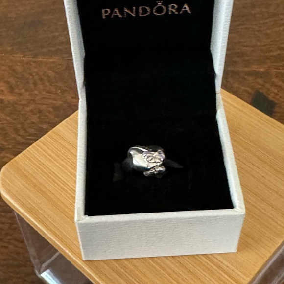 Pandora Bridesmaids ‘Retired’ Charm - Picture 3 of 3